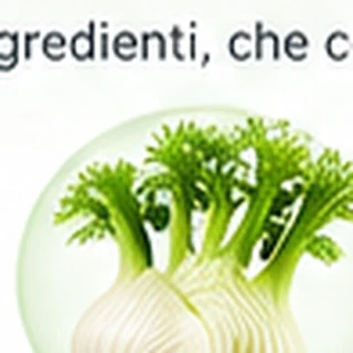 Immagine illustrativa: Estratto di finocchio